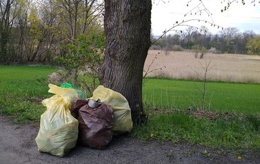 Przy drzewie stoi kilka work&oacute;w ze śmieciami. W tle pole i drzewa.