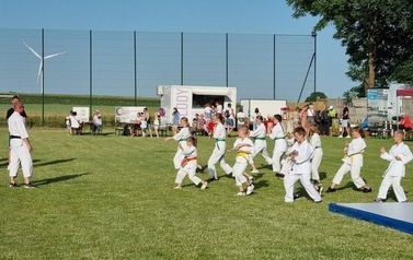 Pokaz karate na trawie.