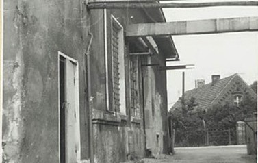 mleczarnia4