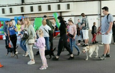 Opiekunowie ze schroniska spacerują z psami na smyczy po hali. Miedzy nimi dzieci i dorosli.