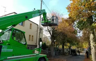 Prace pielęgnacyjne na wysięgniku.