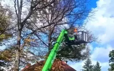 Prace pielęgnacyjne na wysięgniku.