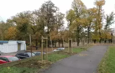 Miejsce po nasadzeniu.