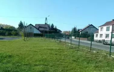 Miejsce przed nasadzeniem.