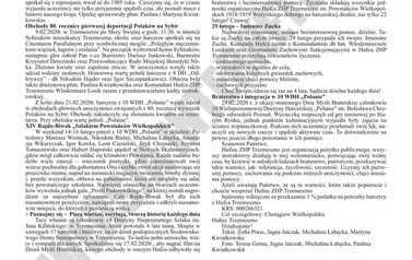 kosynier_internet_7