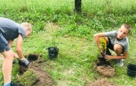 &quot;Grzyb nasze miejsce na ziemi&quot; 8