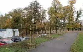 Miejsce po nasadzeniu.
