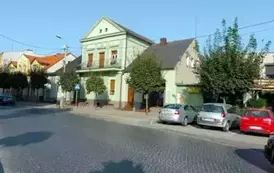 Drzewostan przed pielęgnacją.