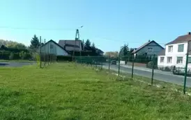 Miejsce przed nasadzeniem.