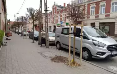 Na pierwszym planie chodnik z nasadzonymi drzewami. Dalej zaparkowane samochody i w tle budynki kamienic.