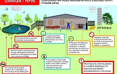 Zdjęcie do APEL do hodowc&oacute;w drobiu Ministra Rolnictwa i Rozwoju Wsi oraz Gł&oacute;wnego Lekarza Weterynarii