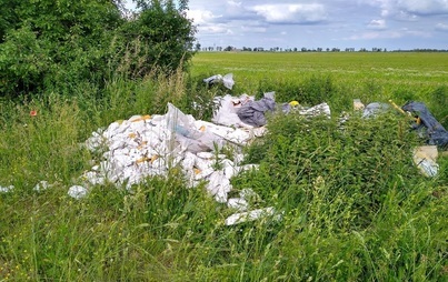 Zdjęcie do STOP dzikim wysypiskom śmieci!