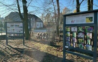 Zdjęcie do Ścieżka ekologiczna, domki dla owad&oacute;w i nowe nasadzenia na placu zabaw, przy ul. Mickiewicza w Trzemesznie