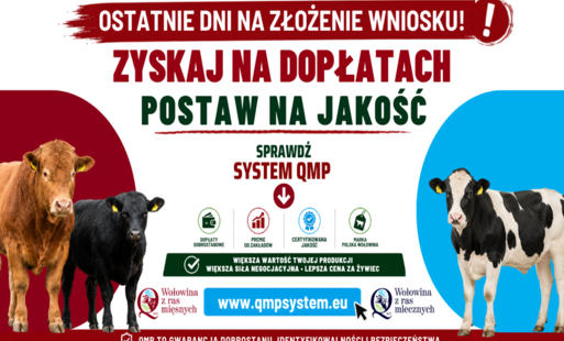 Zdjęcie artykułu z dnia 20-05-2026