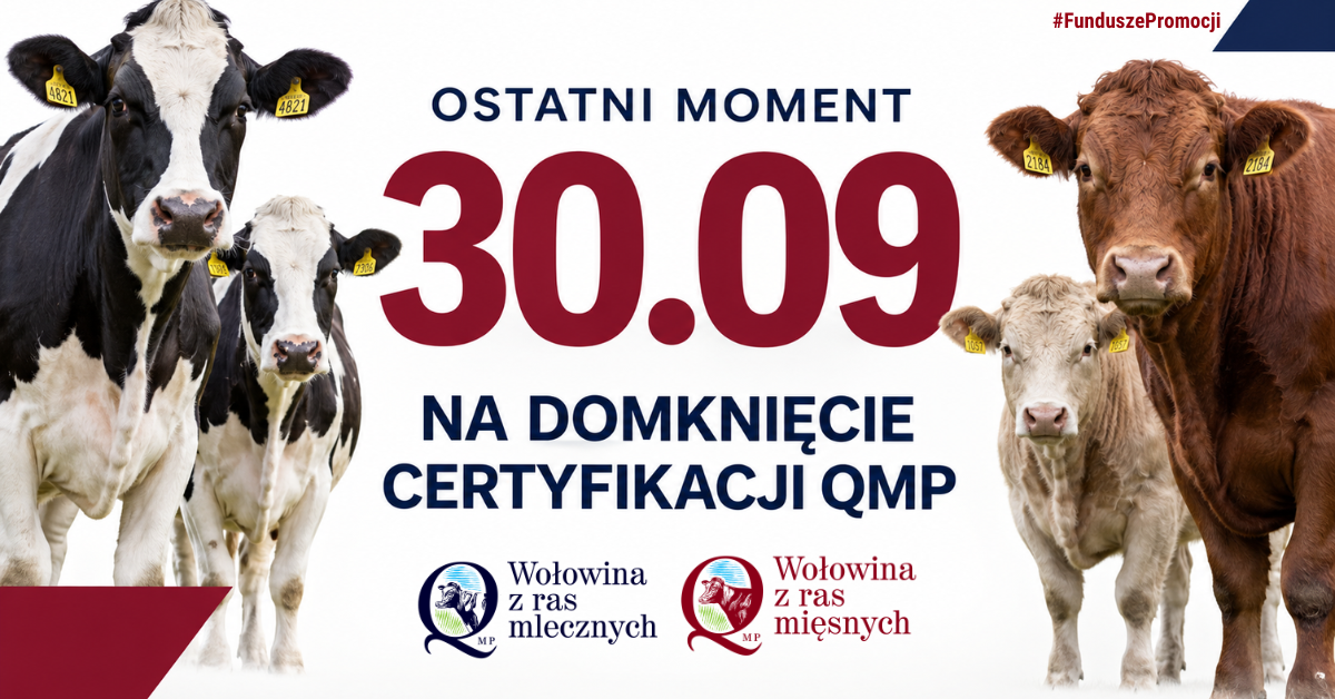 Zdjęcie artykułu z dnia 28-09-2026