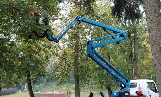 Zdjęcie do Rozpoczęły się prace pielęgnacyjne w Parku Baba i na cmentarzu ewangelickim w Trzemesznie