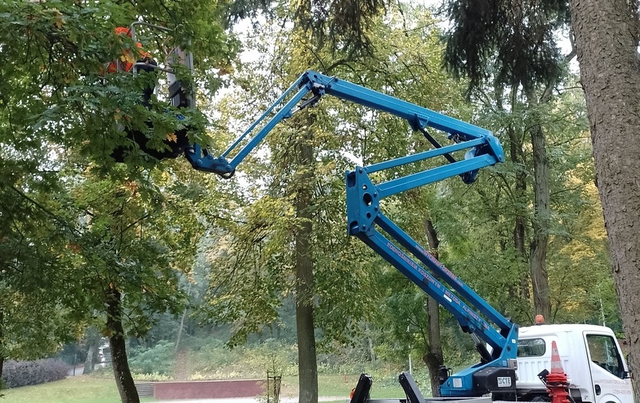 Prace pielęgnacyjne w Parku Baba i na cmentarzu ewangelickim w Trzemesznie
